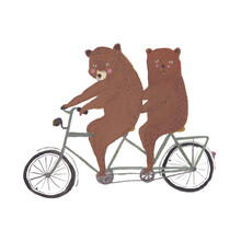 Teddy Bear On A Bike