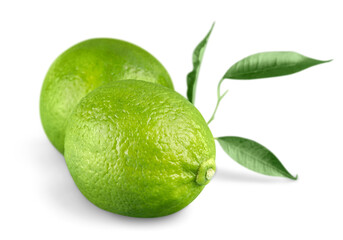 Canvas Print - Collection Fresh lime and slice, Isolated on white background