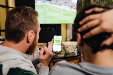 Wall Mural - Back view of two men watching football match and making bets at bookmaker's website in front of TV screen