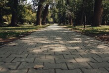 Gepflasterter Weg In Einem Park In Pristina
