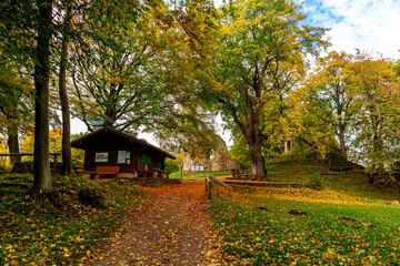 Wall Mural - Kleiner Herbstspaziergang durch die schöne Parklandschaft bei Bad Liebenstein - Thüringen - Deutschland