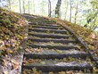 stairs in the park