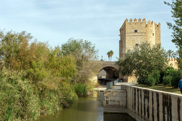 Wall Mural - The Calahorra Tower in Cordoba, Spain