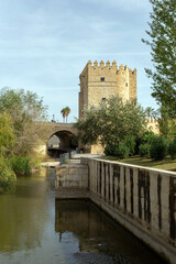 Wall Mural - The Calahorra Tower in Cordoba, Spain