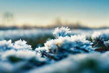 Frosty winter morning macro. Cold weather background concept. Frozen grass on the fields with copy space.