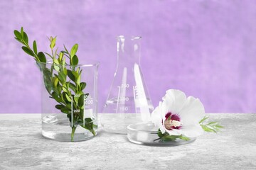 Wall Mural - Glass laboratory equipment and green leaf, science content