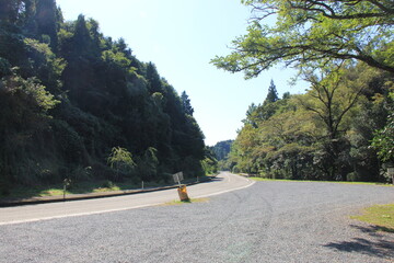 Wall Mural - 山や木々の合間に、緩やかにカーブした車道がある風景