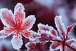 Frozen azalea with red leaves. The first frosts, cold weather, frozen water, frost, and hoarfrost. Macro shot. Early winter. Blurred background.