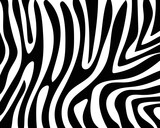 Fototapeta Konie - vector drawing zebra skin texture.