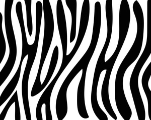 Wall Mural - vector zebra skin pattern.