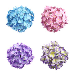 Fototapete - Gardening Flower beauty blossoming 3d rendering set cut out backgrounds png file
