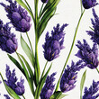 Lavender leaves and flowers seamless pattern