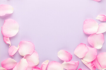 Wall Mural - Rose flowers petals on pastel background. Valentines day background. Flat lay, top view, copy space.