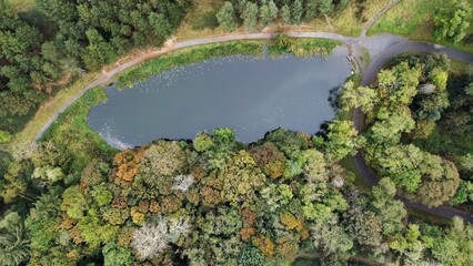 Canvas Print - Aerial view of small lake surrounded by dense colorful autumn forests