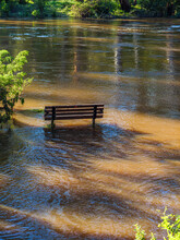 Flooded Park Bench Vert