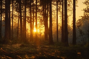 Poster - Raster illustration of beautiful morning impenetrable forest. Wildlife, creepers, moss, grass, greenery, tropical forests, exotic plants. The beauty of the wild concept. 3D rendering artwork