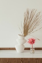 Minimalist House Interior With Sky Plant In White Ceramic Bottle Vase And Bromelia Flower On Table