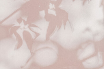 Aufkleber - Shadow and light of leaves tree branch background. Natural  colorful leaf pastel pink, beige, rose gold shadow and light from sunlight on white wall texture for wallpaper overlay effect and design