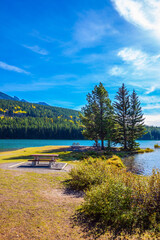 Poster - Several pine trees on little island