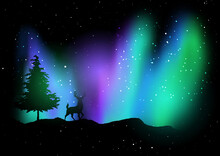 Christmas Landscape With Deer Against Northern Lights Sky