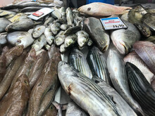 Fresh Australian Fish On Sale At Fish Market
