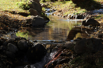 Poster - Mountain stream in the autumn