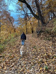 Wall Mural - woman and dog hiking on trails in the hills and mountains in fall autumn