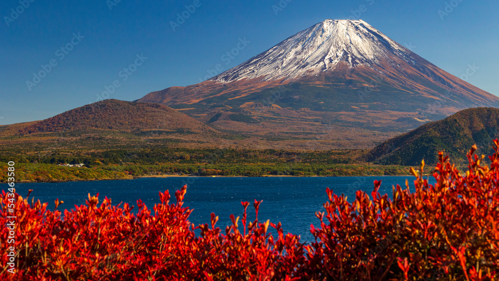 ドウダンツツジの紅葉と富士山 秋 絶景 本栖湖 Stock Photo