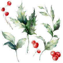 Watercolor Christmas Set Of Red Berries, Holly Leaves And Branches. Hand Painted Winter Plant Isolated On White Background. Illustration For Design, Print, Fabric Or Background.