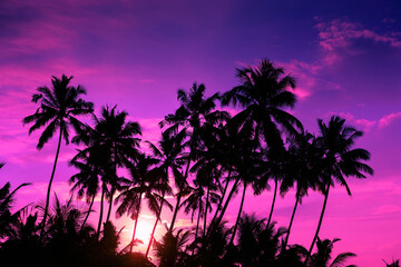 Wall Mural - Vivid purple sunset on tropical beach with coconut palm trees silhouettes