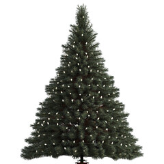 christmas tree with only lights. you can decorate it yourself. ( background transparent )