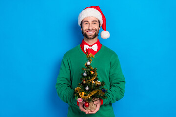 Poster - Portrait of positive nice person arms hold little newyear tree decoration isolated on blue color background