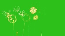 Fireworks On Green Screen Background
