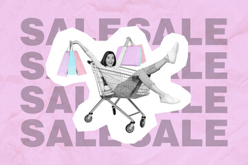 Poster - Collage photo of young excited crazy girl driving shopping cart hold bags with cheap clothes sale special offer isolated on pink color background