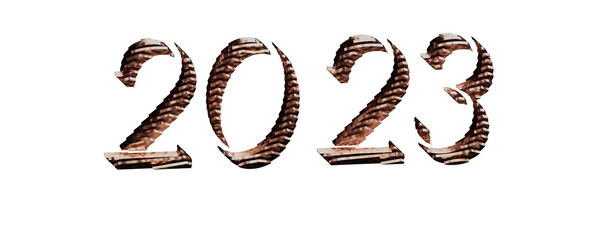Poster - 2023 New year change, turn.