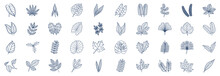 
Collection Of Icons Related To Leaves, Including Icons Like Anthurium, Aralia, Aspidistra, Chestnut, Citrus And More. Vector Illustrations, Pixel Perfect Set