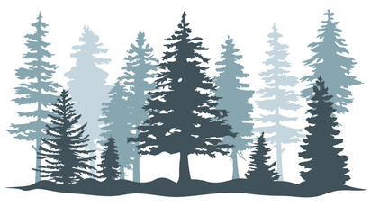 Spruce forest silhouette. Spruce wood silhouette. Spruce tree silhouette