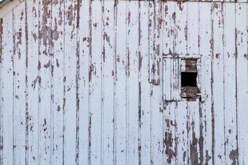 Wall Mural - Full frame abstract texture background of a deteriorating century old barn wall and door, with peeling white painted vertical siding