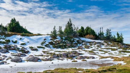 Wall Mural - Spray Park Trail Mount Rainier National Park