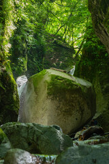 waterfall in the forest