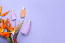Bottles Of Cosmetic Products And Beautiful Strelitzia Flowers On Lilac Background With Space For Text
