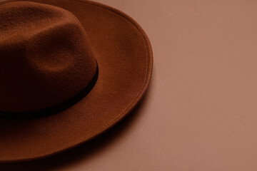 Wall Mural - Stylish felt hat on brown background