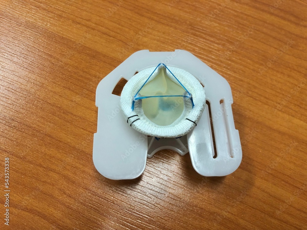 Model of bioprosthetic or tissue heart valve for valve replacement operation.