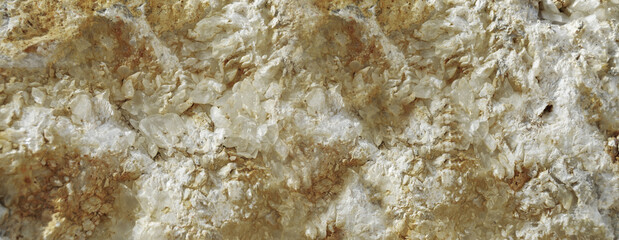 Canvas Print - stone texture