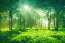 The Rays Of The Sun Make Their Way Through The Green Forest