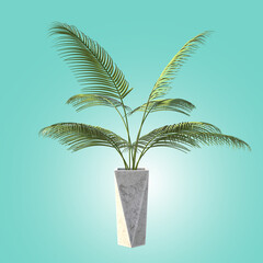 Wall Mural - 3d realistic illustration potted plants for the interior on blue background. Including clipping path.