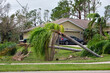 © bilanol - Fallen down big tree after hurricane Ian in Florida. Consequences of natural disaster