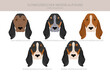 Schweizerischer Niederlaufhund, Small swiss hound clipart. All coat colors set.  All dog breeds characteristics infographic