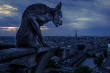 Gargoyle At Night During Energy Crisis, Paris, France. Full Blackout Of City