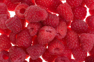 Wall Mural - raspberries isolated